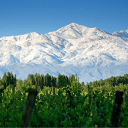 __._david_.__ avatar image